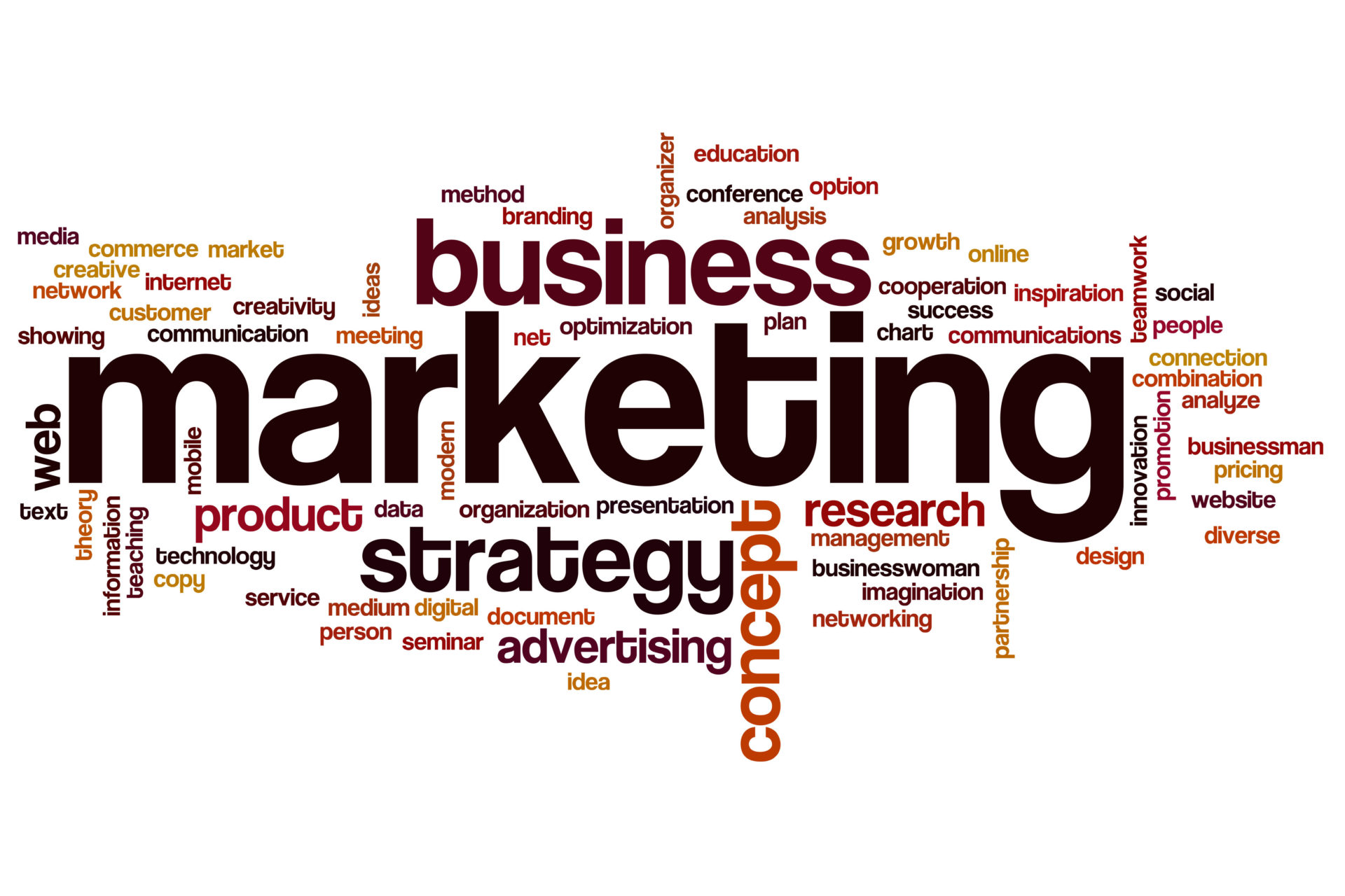 Administração de Empresas + Marketing Digital – Plus